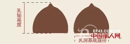 别让这些内衣毁了你的好身材