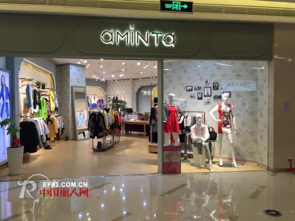 艾米塔 - AMINTA