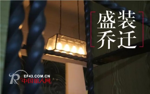 迪斯廷.凯-DistinKidny