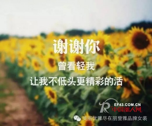 &ldquo;LIDENGYA丽登雅&rdquo;品牌女装强势进驻番禺市桥