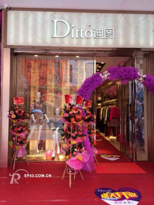 迪图 - DITTO
