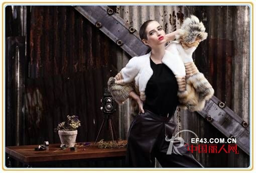 时尚自由点 -Free point.