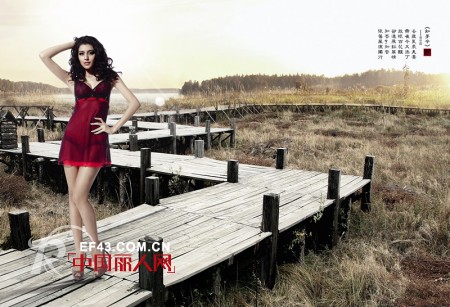 小妇人-LITTLEWOMAN