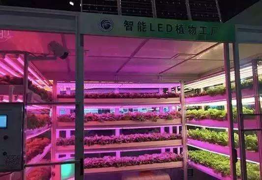 “Smart LED Plant Factory” Subversive technology for land use and farming methods