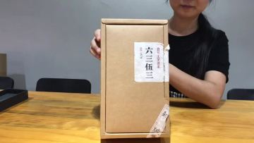 Custom Biodegradable  Protect Wine  Bottle  Champagne Molded Paper Pulp Tray1