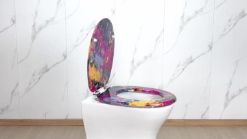 Fanmitrk Toilet Seat MDFDJ2509