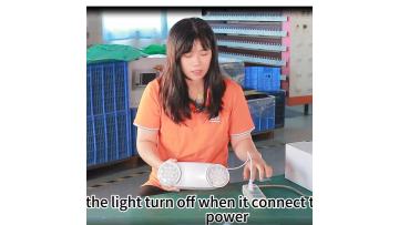 Two Spot LED Emergency Light