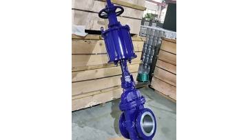 Pneumatic flat plate valve