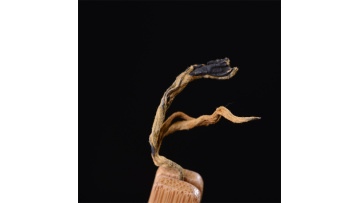 Sweet Honey High Mountain Dianhong Loose Black Tea Introduction