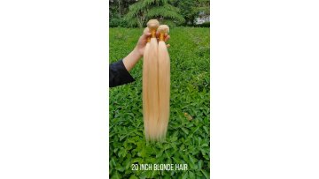 Usexy Hair Blond Cuticle Aligned Raw 613 Virgin Hair Bundles With Frontal/Closure,Wholesale Bundle Virgin Hair Vendor1