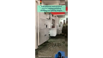 Video 33