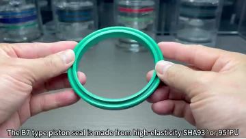 Piston Seal B7 Video
