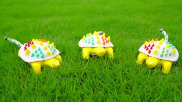 tortoise chew toys for dogs