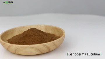 Lingzhi extract