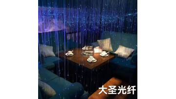 Landscape Fiber Optic Light
