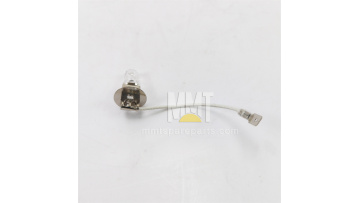 Lamp 4W-5998