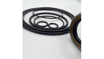 38-Swing Motor Repair Kit