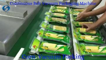 Continuous Belt Vacuum Packaging Machine for Sweet Corn