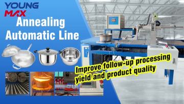 Youngmax annealing machine