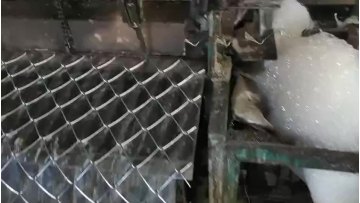 Galvanizec Chain Link Diamond Fence/Chain Link Diamond Netting1