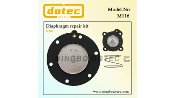 M116 Diaphragm Repair Kit