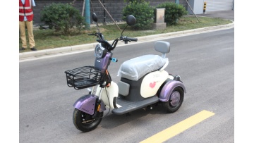 xiaohaitun electric tricycle battery	