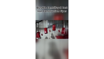 Technical guidance covering project evaluation sample validation parameter matching and bulk order coordination workflows
