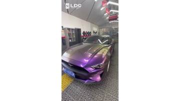 Attractive Purple Chameleon Car Wrap