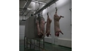 Pig Slaughter Machine for Carcass Cleaning and Abattoir Equipment1
