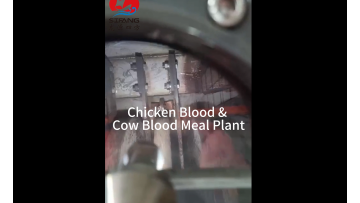04#SIFANG Chicken Blood Meal Plant Driving Innovation in Circular Economy