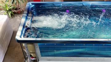 8807 Massage Swim Spa Pool
