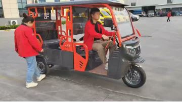 Luxurious Four-Seater Electric Tricycle with Shed
