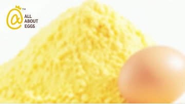 Egg Yolk Powder Organic