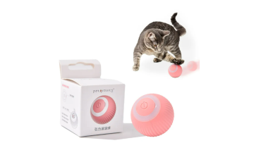 Electric Cat Ball