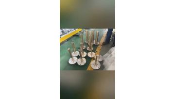 die bush mandrel and calibration sleeves 