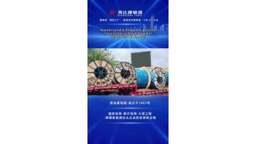 BDK Company Introduce