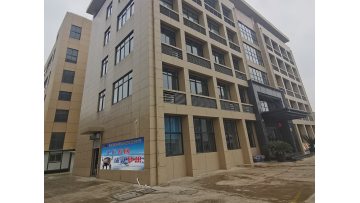 Company Profile