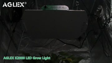 K2000 (1).mp4