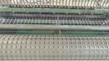 1/2 Inch Electro Galvanized / Hot Dipped Galvanized Welded Wire Mesh Roll from Anping1