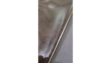 Bronzed Leather Looking