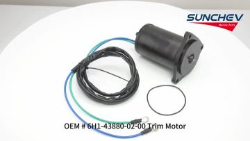 6H1-43880-02-00 Trim Motor