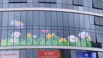 Transparent Led Film Screen