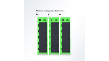 gogoro swappable battery
