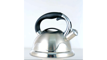 induction bottom design stainless steel kettle