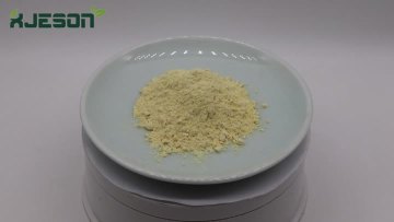 Gingerol Powedr