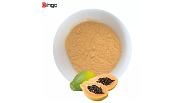 Papaya powder