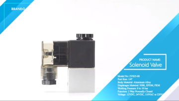 2V025-08 1/4'' 2/2 Way Normally Closed Solenoid Va