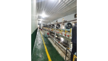 Aluminum sulfate flaking machine