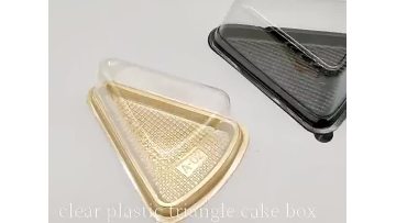 plastic cake box