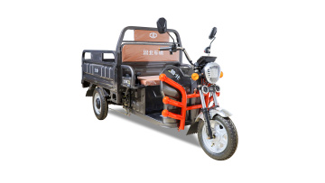 Cargo tricycle LB-co7